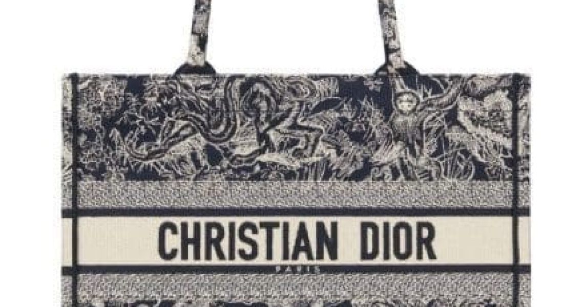 Dior Embroidered Luxury bag